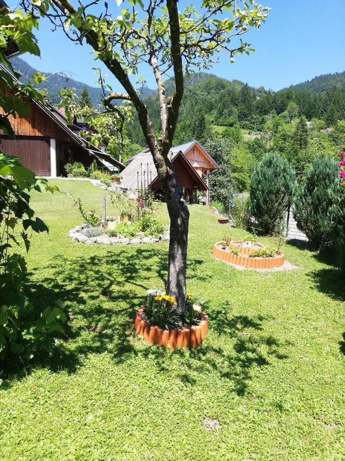 Soba Pri Bregarju Apartment Bohinj ภายนอก รูปภาพ