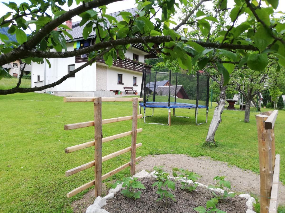 Soba Pri Bregarju Apartment Bohinj ภายนอก รูปภาพ