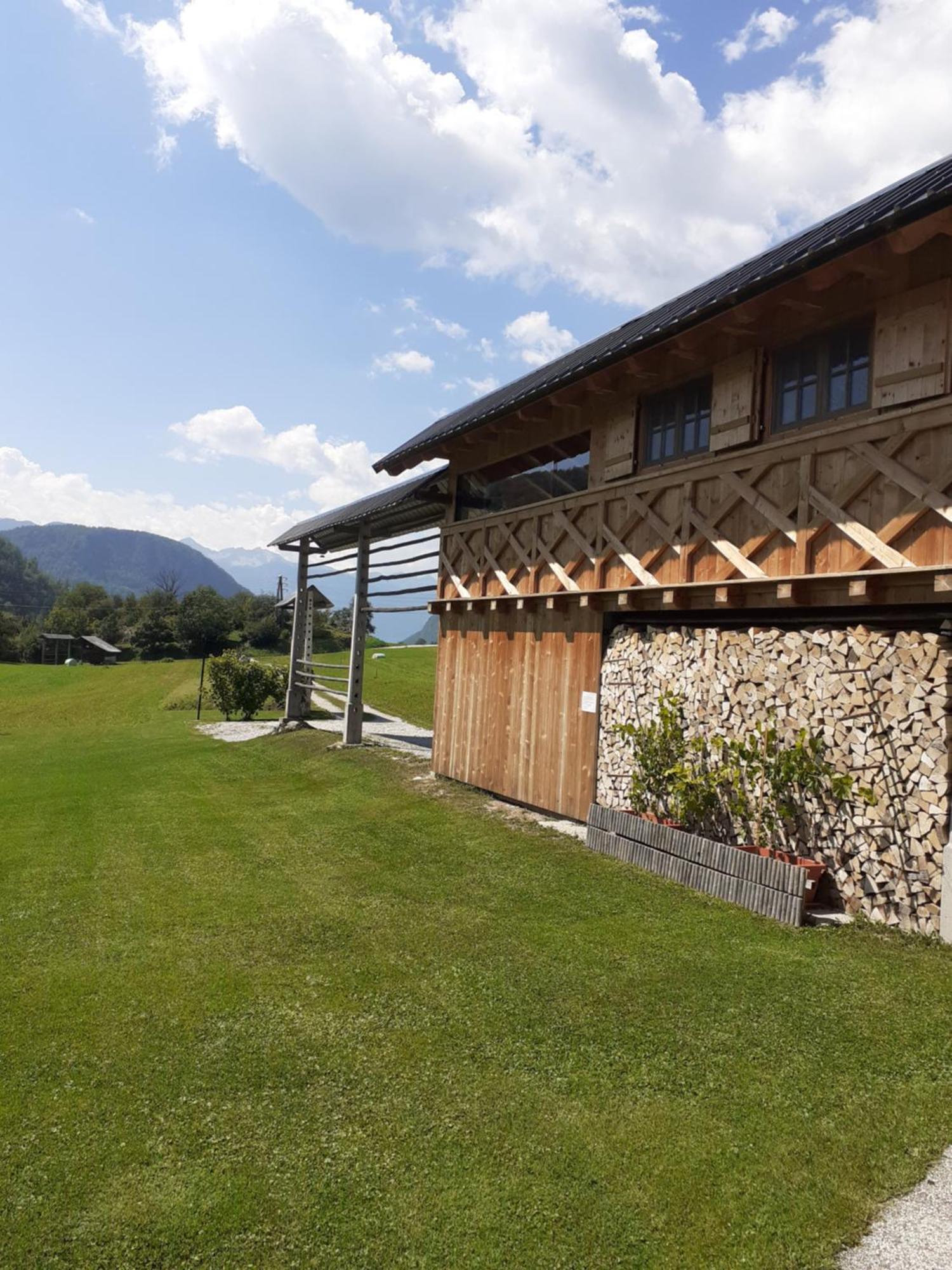 Soba Pri Bregarju Apartment Bohinj ภายนอก รูปภาพ
